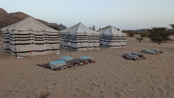 Утро в лагера