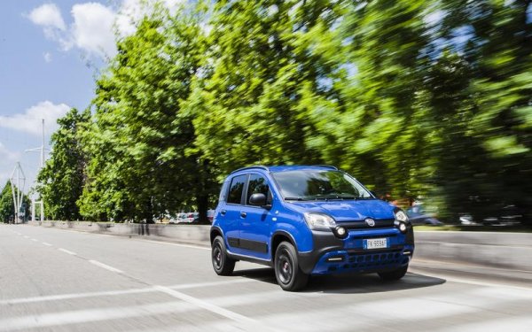 Италианците все още обичат да купуват местни модели, поради което Fiat Panda продължава да е номер едно. Не само това - моделът увеличи продажбите си през 2019 г. с 10% спрямо общо 130 206 за 2018 г. За разлика от много други европейски страни, Италия не е доминирана от кросоувъри и всъдеходи. Поради което основните съперници за титлата на Panda са Lancia Ypsilon, Renault Clio и Citroеn C3.