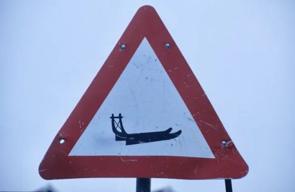Този знак е съвсем типичен за северните части на Финландия, Норвегия, Швеция, както и в Канада и САЩ. Предупреждава за движещи се по пътя шейни. 

