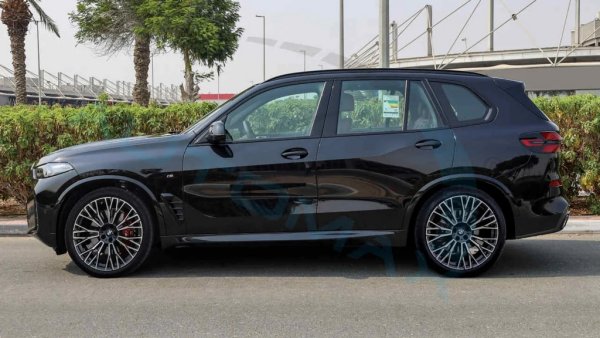 BMW се хвали с една от най-големите цветови палитри в автомобилния свят, но това не трогва особено българските купувачи, които по стара традиция ограничават избора си най-вече до три цвята: черно, бяло, сиво. Най-популярният цвят миналата година е бил черният металик, наречен Black Saphire (17%), пред Brooklyn Grey (11%), Alpine White (7%) и още три сиви цвята с матово покритие (с общ дял 14%). 
