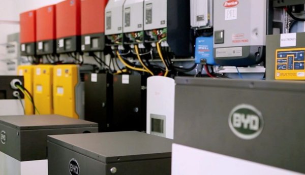 Китайският производител на леки автомобили и автобуси, който още преди години привлече солидна инвестиция от Уорън Бъфет, през август 2021 е най-големият производител на електромобили в света, изпреварвайки дори Tesla. Компанията произвежда и доста големи количества батерии, най-вече за задоволяване на собствените си нужди. 
BYD е съкращение от Build Your Dreams. Групата е основана през 1995 в Шънджен, а в автомобилния сектор навлезе с придобиването на Qinchuan Automobile Company през 2002. BYD има и джойнт-венчър с Daimler за производство на луксозни електромобили (Denza). 
