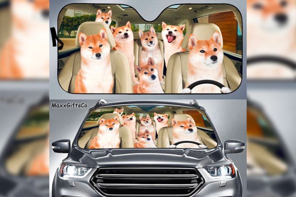 През лятото много шофьори използват меки сенници с огледален слой, който отразява слънчевите лъчи, за да предпази пластмаса в салона от слънце и прегряване. Изобретатели от Китай решиха да разнообразят обикновените и скучни защитни екрани с различни шарки. За да забавлявате минувачите, можете да поставите защитен панел под предното стъкло с изображение на семейство кучета Shiba Inu, холивудски актьори и много други. Цената им е 12 долара.