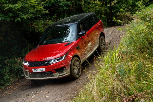 Aктьорът притежава и  Range Rover Sport (версия 2018 година) &ndash; семеен автомобил с пет места, подходящ за пътувания с деца.