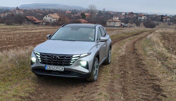 Корейската компания е от най-пострадалите през ноември, с 22% спад в сравнение със същия месец на 2019. Общо за годината свиването е 23.7%, малко под средното, и пазарният дял се увеличава от 3.5 на 3.6%.
