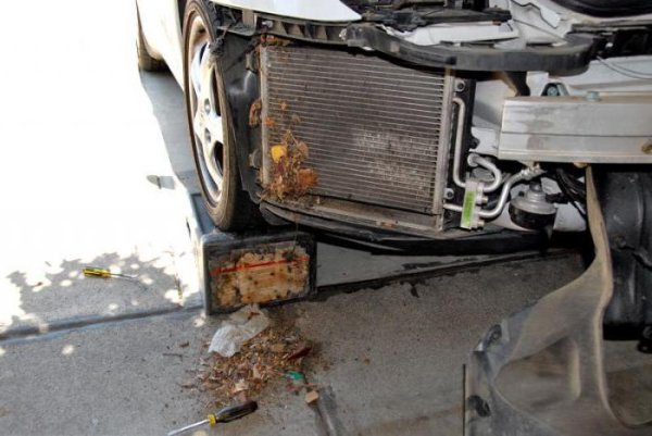 Една от причините за корозия на радиатора попадане в него на реагенти за почистване на пътищата, изсипвани през зимата. Невъзможно е това да бъде избегвато напълно, но някои експерти съветват да бъде поставена фина мрежа пред радиаторите. Именно тя ще предпази от вливане на мръсотия. Но най-важното е да изплакнете обилно радиатора отвън, поне след като зимата свърши. 