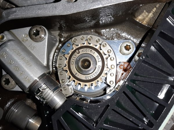 Нейният проблем е малкият ресурс, тъй като стоперът на обтегача е много слаб, така че при паркиране на кола с ръчна скоростна кутия на наклон веригата често прескача един или дори няколко зъба.

Фазовият превключвател на &bdquo;всмукателния" разпределителен вал е чувствителен към замърсяване с масло на двигателя. Разпределителните валове имат тръбен дизайн с пресовани гърбици, като те са по-малко издръжливи. Леглата в главата на цилиндъра и шийките на вала страдат от лошо подаване на масло.