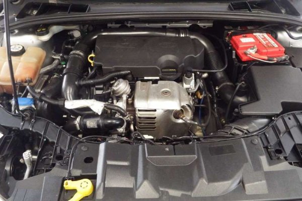 В Европа хората не се притесняват да купуват дизелови и бензинови турбомотори, които са жертва на даунсайзинга, тъй като предлагат сравнително висока мощност при малък обем - 1,0 или 1,2 литра. Много от тях са трицилиндрови, а това определено плаши купувачите. Те не вярват, че подобен двигател може да има голям ресурс, особено когато става дума за автомобил с по-големи размери (например, кросоувър).
Затова и много модели с такива двигатели често се продават трудно на пазара на автомобили втора ръка. И това не зависи нито от възрастта им, нито от пробега. 

Същото се отнася и за големите мотори - тези с пробег над 3 литра. Те са само за  ценители, а да не говорим, че някои от тях имат доста лоша репутация, а също така и данъкът им е доста висок.
