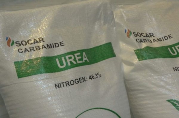 За първия минус на тази система вече стана дума: ще трябва да я платите от джоба си. И след това да зареждате периодично течност, макар че това не е чак разорително. Петлитрова туба струва около 15 лева, а наливната течност по бензиностанциите е и по-евтина. 
Впрочем самият карбамид не е особено скъп - между 200 и 250 долара за тон. Количеството, нужно за производството на литър AdBlue, струва около 8 цента. Как се формира цената на дребно от около 3 лева за литър, ви оставяме да прецените сами. 
Основната употреба на карбамида е като азотен тор за растенията.
