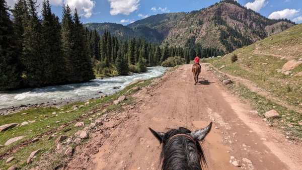 След първите ни опити в ездата решихме, че предпочитаме конските сили да са под предния капак