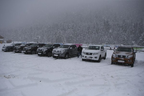 Nissan Navara 