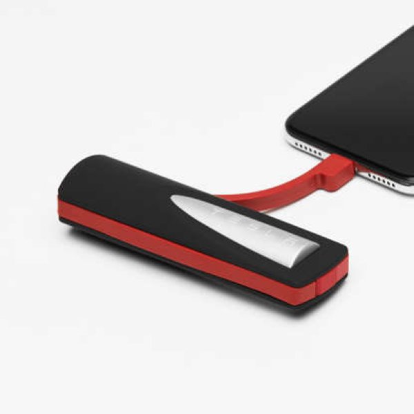 Това зарядно за мобилни телефони е с капацитет 3350 mAh. Малко е оскъдно в сравнение с други зарядни, но разбира се, те не са Tesla. Цената е 52 долара.