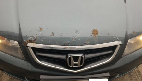 Добре известно е, че някои марки автомобили ръждясват по-често, докато други практически почти не са изложени на ръжда. Има дори мнение, че японските автомобили са по-податливи на "зачервяване" от европейските. Спомнете си предишните поколения на Mazda и Honda. При тях има минимални проблеми относно техниката и надеждността на възлите и агрегатите, но има и много оплаквания относно качеството на боята и склонността на метала към ръжда.

А европейските Renault, Peugeot и VW се считат за по-неподатливи на кафявата болест. Тук тайната се крие в обработката на метала, или по-скоро в неговото покритие, преди каросерията  да бъде вкарана в камерата за боядисване. Факт е, че някои коли са покрити с цинк, докато други не са. Така че "поцинковането" предпазва тялото от гниене за доста дълго време, за разлика от обикновената галванизация. 