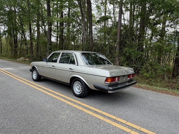 Заслужената репутация за надеждност и икономичните дизелови двигатели (240D и 300D) правят W123 предпочитан избор на таксиметровите компании в Германия. Тези таксита масово изкарват до над 500,000 км без значими ремонти и след пенсионирането си са изнесени към Африка, където много от тях функционират и до ден-днешен. 
