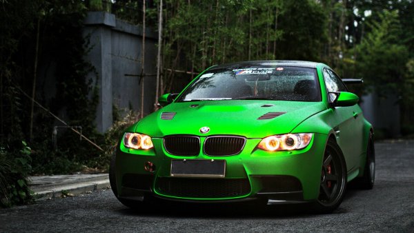 Любителите на зеленото имат една прекрасна черта - имат отлично самочувствие и пълно пренебрежение към мнението на трети лица за себе си. Въпреки това те са мили, търпеливи, миролюбиви и трудно казват „не“. Поради това те често се експлоатират от другите поради факта, че наистина са готови да помогнат на всеки, който поиска. Зеленият цвят, според експерти, е най-балансиран и естествен. Колкото по-тъмно зелено харесва човек, толкова повече може да се разчита на него. Той едва ли ще ви предаде, измами или разочарова.