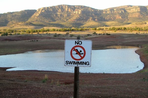 Особено привлекателна локва за плуване...
