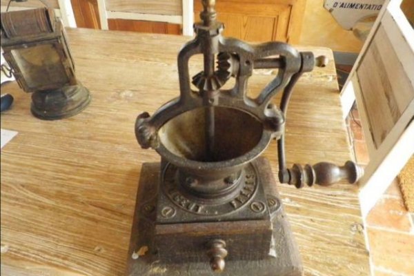 Някога фамилията Пежо била в мелничарския бизнес. После започнало индустриалното производство - на оборудване за мелници, на мелнички за пипер, на метални рамки за кринолинови рокли, а от тях - на спици за велосипеди и на цели велосипеди. Когато компанията се разрастнала, братята Жюл и Емил Пежо поъчали да им се изработи лого, което да може да се използва еднакво добре за всички разнородни продукти - лъв, стъпил върху стрела.
