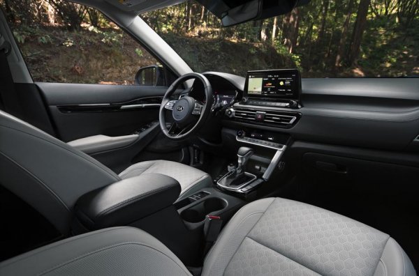 Мултимедийна система на Kia е сочена като една от най-добрите в отрасъла, тъй като е доста опростена и интуитивна за работа, отбелязват от журито. Отделно се отчита и работата на приложението Sounds of Nature (Звуци от природата), които създават атмосфера в рамките на 6 сценария &ndash; Заснежено село, Жива гола, Спокойно море, дъждовен ден, Улично кафе и Топла камина.