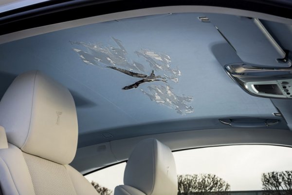 Още една трудна задача за артистите в Bespoke поделението. Извезаният на тавана сокол е най-сложната бродерия, създавана някога в Rolls-Royce, и отне на майсторите малко повече от месец. 
