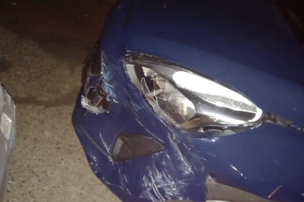 Последствия има и при инциденти с дребни диви животни. Случва се шофьор да удари дребно животно и да напусне мястото на инцидента, като по автомобила му остават следи. Наличието на кръв, например, със сигурност ще направи впечатление на полицейските екипи, патрулиращи по пътищата. И тогава шофьорът ще трябва да обяснява.

На някои места по света подобно „бягство“ може да доведе до наказание на шофьора, ако удареното животно, например, е от защитен вид. Подобни прецеденти са малко, тъй като няма практика за издаване на наказателно постановление за смъртта на животно под гумите на автомобила, но е възможно да се стигне до отнемане на шофьорската книжка.