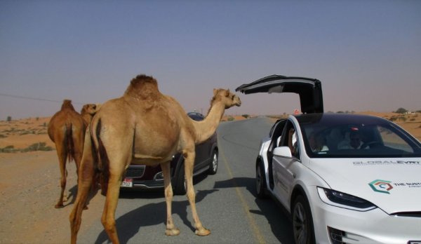 Автомобилната индустрия обикновено се фокусира върху това, което правят Китай, Япония, Корея (в Азия), САЩ (в Америка) и Европа. Индустрията почти не включва останалия свят, въпреки че той представлява около 22% от глобалните продажби на лекотоварни автомобили.