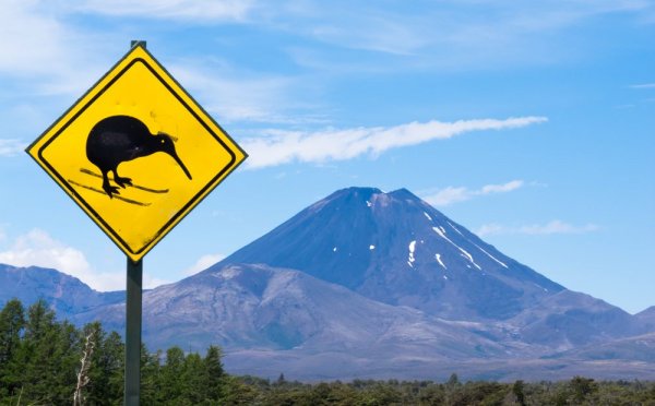 Кивито е нелетяща птица, която е нещо като символ на Нова Зеландия. Резонният въпрос в случая е защо е на ски? 
Ако се вгледате, ще видите, че тези спортни пособия са дорисувани допълнително. Удивителното е не това, а че неизвестният шегаджия е положил огромни усилия да приведе в такъв вид всички знаци в две доста обширни новозеландски провинции. 
