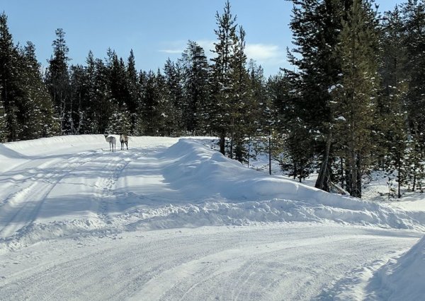 Там зимните гуми трябва да са на колата между 1 декември и края на февруари. Ако ще слагате гуми с шипове, не забравяйте, че това е разрешено между 1 ноември и първия понеделник след Великден. Грайферите трябва да са поне 3 мм дълбоки.
