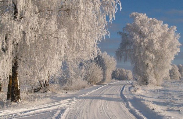 Между 1 декември и 1 март латвийските пътища са отворени само за коли, оборудвани с гуми, подходящи за зимни условия. Това означава, че грайферите трябва да са поне с 4 мм дълбочина. Гуми с шипове са забранени между 1 май и 1 октомври.
