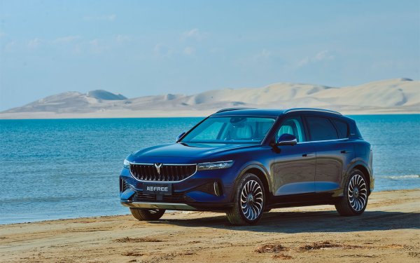 В Китай този кросоувър на премиум-бранда на компанията Dongfeng е сочен като главен конкурент на Nio ES8 и LI One. Въпреки солидната си дължина от 4,9 метра, той не се предлага с повече от 5 места. В салона има три дисплея, които са скрити в предния панел и се появяват едва след стартиране на двигателя.

Топ-версията на модела, както и при LI One, може да бъде оборудвана с 1,5-литров генератор за увеличение на пробега. В този случай той достига 860 км, а ако се кара само на ток, обхватът е 475 км. Това са данните на модификацията с два електромотора със съвкупна мощност 694 к.с. Базовият вариант е със задно предаване и 374 к.с., като може да преодолее 505 км.
