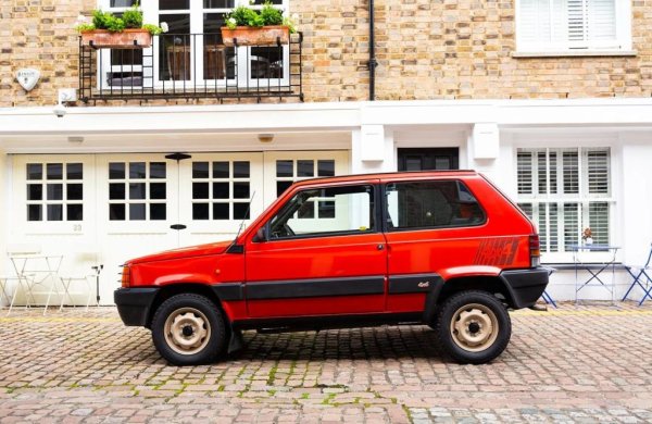 Оригиналното име, предложено от Fiat за този модел, е Rustica - "селска". В последния момент е предпочетено Panda - съкратено от Емпанда, древноримската богиня на пътешествията. Между името на модела и китайските бамбукови мечки има само случайно фонетично сходство. Но това не попречи на Световния фонд за защита на природата (WWF), чиято емблема е пандата, да съди Fiat и да миряса едва след като Джани Аниели им направи солидно дарение. Чекът бе изписан върху предния капак... на Fiat Panda. 
