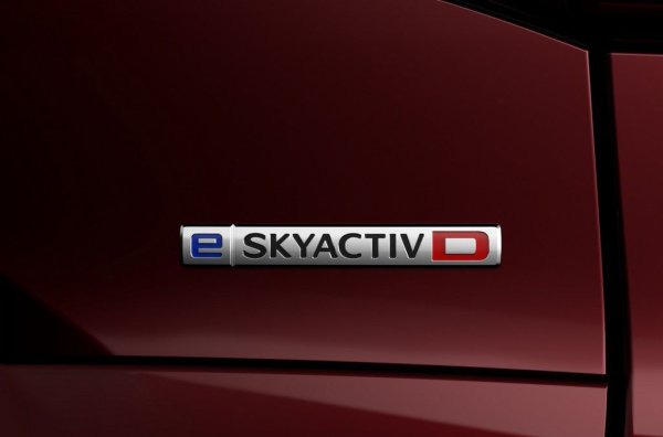 Добавената мека хибридна система е с батерия с капацитет 0.33 кВтч, тежаща само 15 кг. По WLTP тестовете средният разход е 5.7-5.8 литра на 100 км. В нашия тест не успяхме да слезем под 6.0, а при максимално натоварване на магистрала постигнахме 8.2 литра на 100 км. 