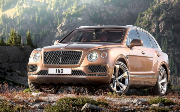 Идеята, че свръхтрадиционна марка като Bentley може да победи кокурентите си с нова технология, вероятно ще изненада мнозина. През 2015 година британската марка пусна SUV-модела Bentayga, който поучи допълнителна 48-волтова система. Малко след това тя се появи и при "братчето" Audi Q7.
