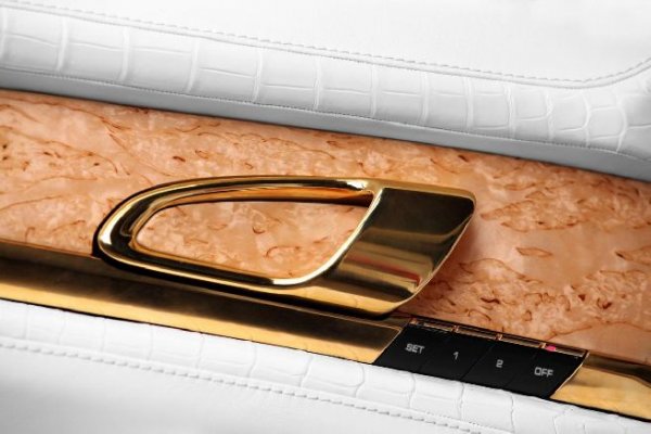 Крокодилска кожа и истинско злато - Porsche Panamera Turbo S от TopCar