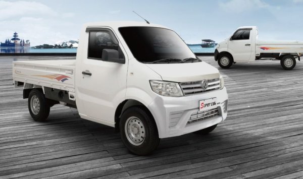 По информация на Automedia, почти сигурно китайският производител ще предложи у нас и някой от компактните си лекотоварни модели - примерно от серията Supercab. 
