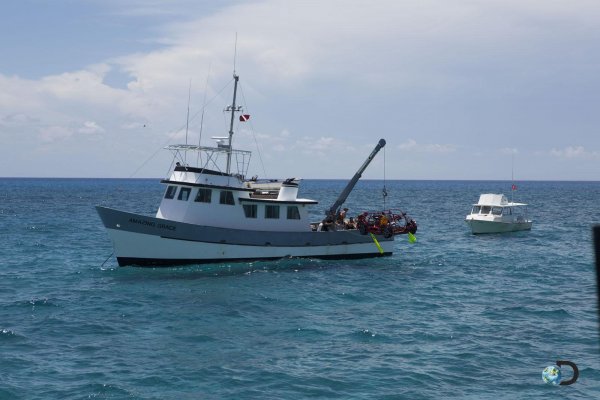 Подводен Volkswagen Beetle за "Седмица на акулите" по Discovery