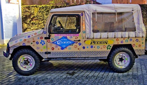 Доста грозният модел UMM Alter II е португалски всъдеход, който през 1992 г. се предлага с дизелови двигатели на баварската марка, по-специално с 6-цилиндровия от E34 525i.