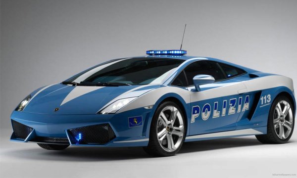 Ако има Lamborghini за органите на реда, би трябвало да е сред най-добрите полицейски коли в света. А в края на миналото десетилетие италианската полиция се сдоби с Gallardo LP560-4 с 560 к.с. Не е кой знае колко бърз, но със сигурност може да ускори от 0 до 100 км/ч за 3,7 сек.
