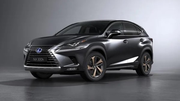 Съчетавайки практичност с превъзходни характеристики, Lexus NX споделя своята платформа с Toyota RAV4, но добавя първокласни материали и по-спортен двигател с турбокомпресор с 235 к.с.  Хибридните версии постигат разход от 8,1 л/100 км, което е доста добър показател.

Ако изберете модела от 2018, получавате стандартно предупреждение за челен сблъсък и автоматично спиране. Тихата кабина на NX и плавното возене го правят солидна опция за тези, които търсят нотка лукс, без да похарчат прекалено много пари.
