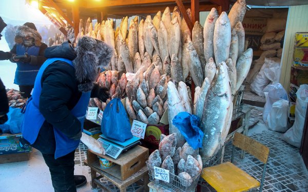 Опасността от замръзване обаче не важи за местните хора. Дори при -40 градуса в Якутск работят уличните пазари. Преди години Майкъл Палин се бе втрещил от една солидна руска "мамаша", която продаваше там по къс ръкав. 
