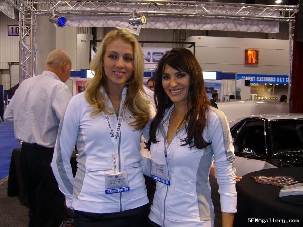 Момичетата на SEMA 2008