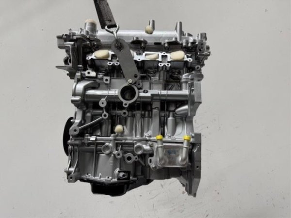 Проблемите при бензиновия двигател 1.2 TCe/DIG-T H5F с мощност 100 или 130 к.с. се дължат на намаляване на нивото на маслото, което причинява превключване и чупене на веригата. Тези дефекти засягат автомобили, произведени от 2012 до 2019 от Renault и Nissan (но също и от Mercedes, който използва същия мотор на Citan).