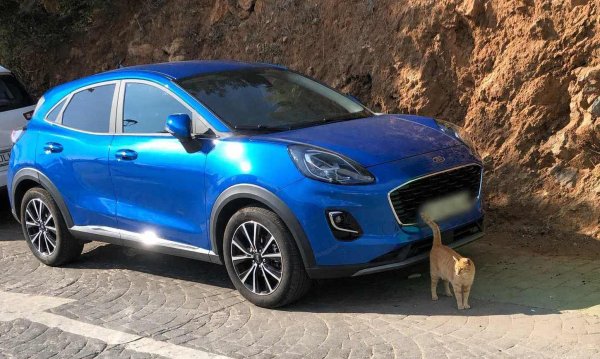 Американската марка се настани на седмото място, след като проверка отчете 18,1% лошо спрели автомобили с този бранд. Локациите в Барселона и Амстердам са запечатали най-много Ford-ове, стъпили извън очертанията. Париж обаче се оказа пълна противоположност &ndash; във френската столица статистиката не регистрира нито един нарушител зад волана на модел от марката.
