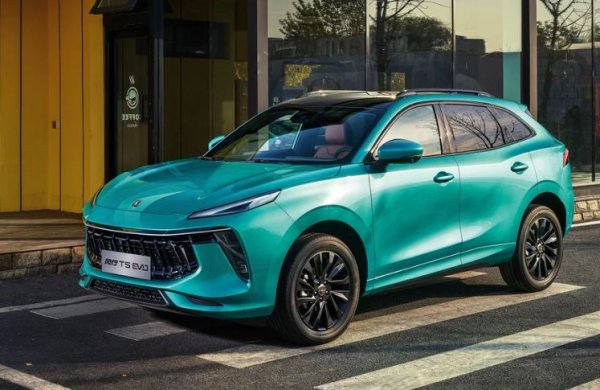 Китайските купувачи могат да бъдат наречени най-разглезените в света. През 2016 г. на местния пазар са били представени 130 автомобилни марки, предлагащи на клиентите 952 модела! И то без да се броят вариантите на един модел с различен тип каросерия.