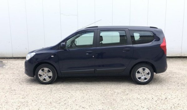 И тук, както и при Scenic, най-често срещаният агрегат под капака е неунищожимият дизелов 1.5 dCi. Той е отлично познат в България и рядко се нуждае от намесата на механиците. По-рядко се среща атмосферният бензинов 1.6, който не създава никакви ядове, но е отчайващо муден. Повече внимание изисква 1.2-литровият бензинов турбомотор TCe - алуминиев агрегат с променливо газоразпределение и 16 клапана, който стана пословичен с консумацията си на масло и навлече на Renault няколко колективни съдебни иска от клиенти. По-добре стойте далеч от него. 
