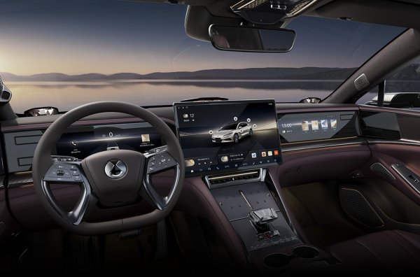 Z9GT и Z9 са идентични - могат да бъдат хибридни или електрически. И двата се задвижват от три електрически мотора (един на предната ос и два на задната ос). Хибридният Denza има значителен коз под формата на 2,0-литров двигател с вътрешно горене с турбокомпресор с мощност 207 к.с., който работи главно в генераторен режим и при високи скорости е свързан към колелата чрез едностепенна скоростна кутия. С него общият пробег достига 1100 км. 

Електрическият е по-скромен в това отношение (декларираната автономност е 630 км), но по-мощен - 966 к.с. и 1150 Нм срещу 870 к.с. и 1035 Нм. Ускорението до 100 км/ч отнема 3,4 секунди, бензиново-електрическата Denza е с 0,2 секунди по-бавна.