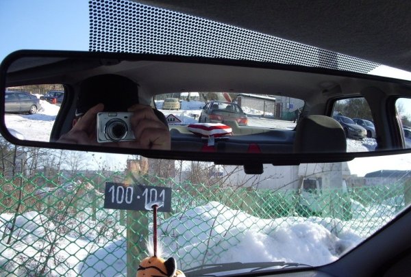 Панорамните огледала за обратно виждане са базирани на принципа на очите на хамелеона, които могат да се движат независимо едно от друго. Това помага за намаляване на слепите точки и подобрява видимостта.