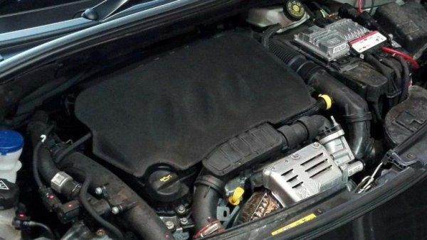 PSA, сега част от Stellantis, всъщност получи 14 награди поради сътрудничество с BMW, за което ще стане дума след малко. Работейки самостоятелно, концернът създаде 2,5-литров турбо дизел, който спечели категорията от 2,0 до 2,5 литра през 2001 и 2002 г.

По-късно PSA беше на върха в класа от 1,0 до 1,4 литра всяка година от 2015 до 2018 г. със своя 1,2-литров трицилиндров турбобензинов агрегат. Той е използван за голям брой автомобили на Citroen, DS, Peugeot и Opel/Vauxhall - от супермини като Peugeot 208 до много по-големия Citroen C4 Grand Picasso.