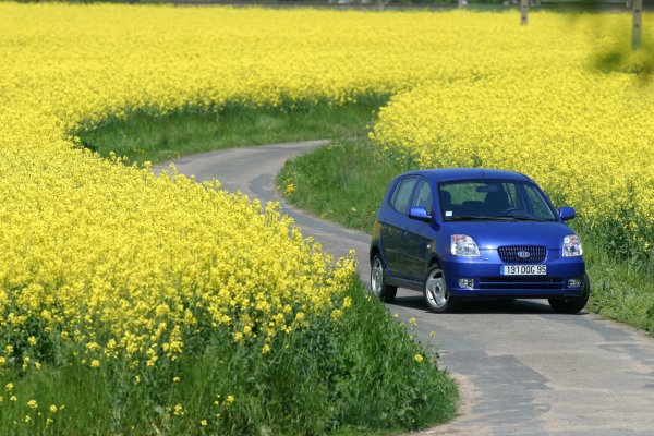 В облика на градския модел определено се чете наивен интерес към обкръжаващия го свят. Това може да бъде определено също и като любопитство, сякаш колата за първи път вижда толкова цветя и е спряла, за да почувства техния аромат.
