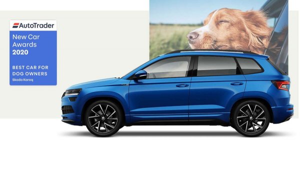 Общо 34 модела спориха за първото място в тази категория, като в крайна сметка чешкият SUV успя да изпревари Kia Sportage и Volvo XC60. Той беше избран заради маневреността, асистентите на водача и богатото оборудване. Отбелязва се и голямото вътрешно пространство в автомобила, което го прави още по-практичен за употреба.