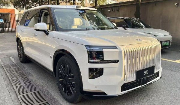 Продажби през 2025: 3.02 милиона
Zhejiang Geely Holding Group, базирана в Ханджоу, е частна компания, собственост на Ли Шуфу. Geely е мажоритарен собственик  на няколко глобални марки като Volvo Cars, Lotus, Proton и Polestar. Освен това има сериозни дялове в Mercedes, Samsung Motors и Horse, съвместната компания с Renault за двигатели с вътрешно горене. 
Собствените й марки:
- Geely
- Geely Galaxy
- Geely Radar
- Lynk & Co
- Zeekr
- Farizon
НА СНИМКАТА: Zeekr 9X
