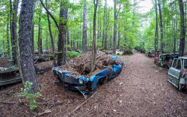 Когато собственикът починал, странната колекция била наследена от сина му. Той решил, че може да изкарва пари от нея и превърнал ld Car City в &bdquo;музей на автомобили под открито небе&ldquo;. Входът в него струва 25 долара и което е по-интересно &ndash; посетителите не липсват.